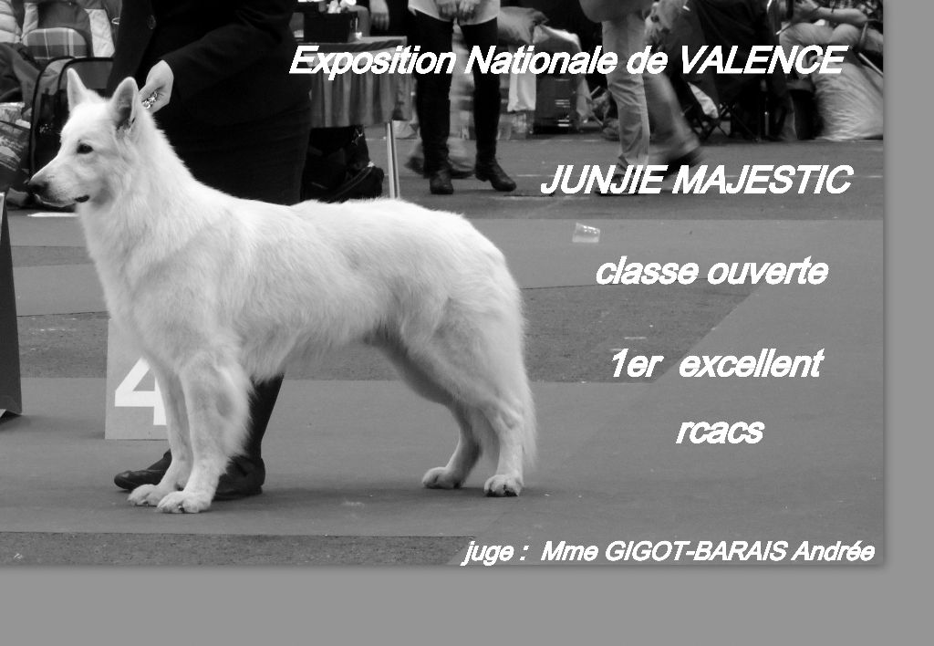 Des Gardiens Du Greutal - Exposition Nationale VALENCE