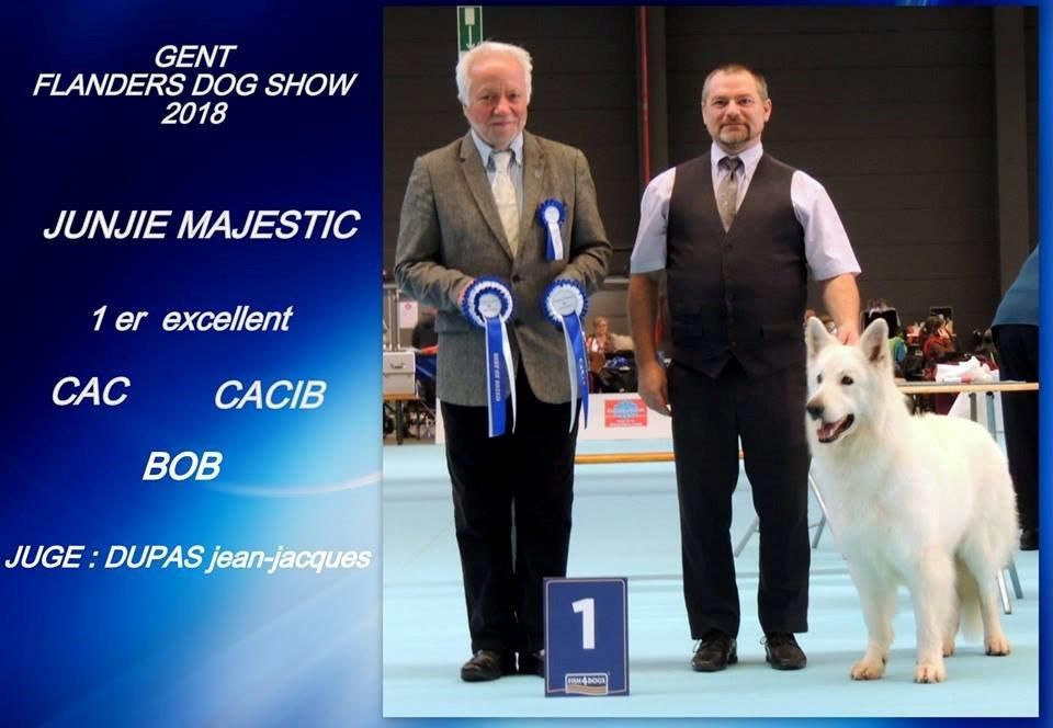 Des Gardiens Du Greutal - EXPOSITION GENT FLANDERS DOG SHOW